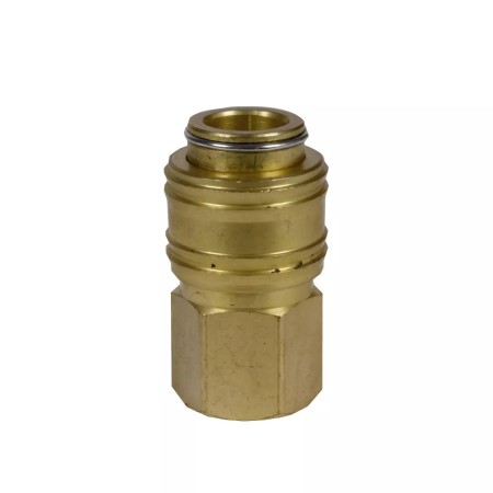 Einhell Szybkozłączka R1/4 Ig