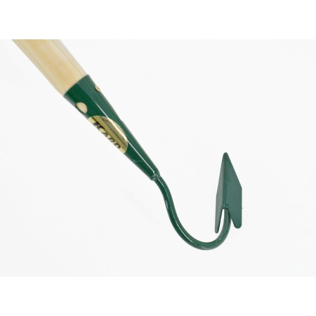 Kard Spulchniacz Jednozębny O.