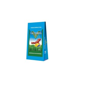 TRAWA VICTORIA REKREACYJNA 4 kg