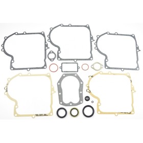 ZESTAW USZCZELEK BRIGGS&STRATTON 10KM-13KM