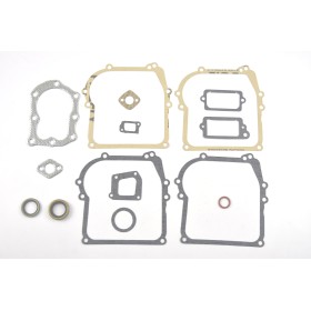 ZESTAW USZCZELEK BRIGGS&STRATTON 450 500 CLASSIC