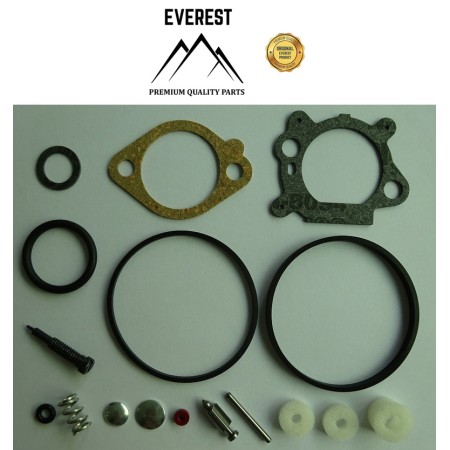 ZESTAW NAPRAWCZY BRIGGS&STRATTON QUANTUM 492495, 493762, 498260 EVEREST