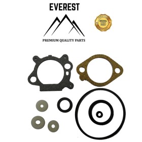 KOMPLET USZCZELEK BRIGGS&STRATTON QUANTUM EVEREST