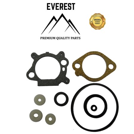 KOMPLET USZCZELEK BRIGGS&STRATTON QUANTUM EVEREST