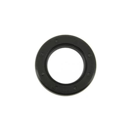 USZCZELNIACZ WAŁU DOLNY BRIGGS&STRATTON QUANTUM