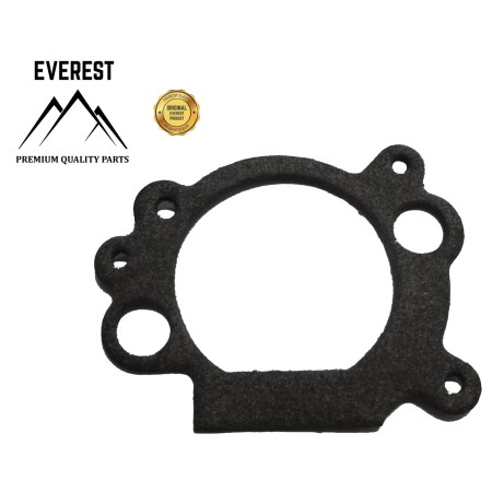 USZCZELKA FILTRA POWIETRZA BRIGGS&STRATTON OHV EVEREST