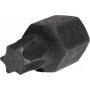 HONITON KOŃCÓWKA TORX  T40x30mm 6-kąt.10mm