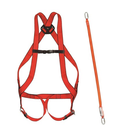 CLIMAX ZESTAW BASIC 10+AMORTYZATOR 31A 30/30+2 KARABIŃCZYKI