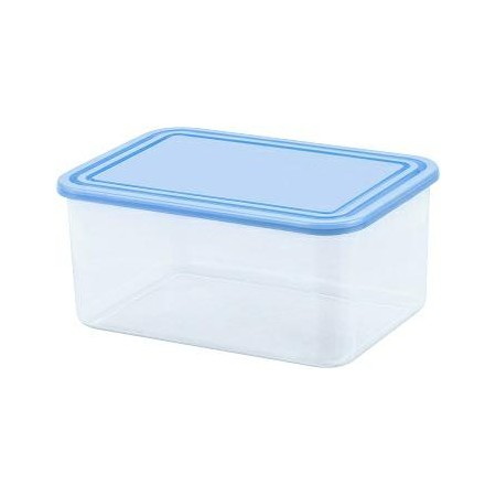 "CURVER POJEMNIK DO PRZECHOWYWANIA ŻYWNOŚCI PROSTOKĄTNY 0,8L   /TRANSPARENTNY NIEBIESKI/
TRANSPARENT