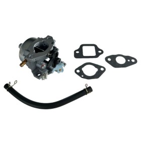 Gaźnik Honda Gcv170