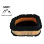 Filtr Powietrza Kohler 2-Cylindry Everest
