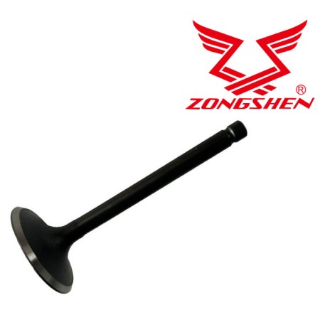 Zawór Ssący Zongshen Gb420