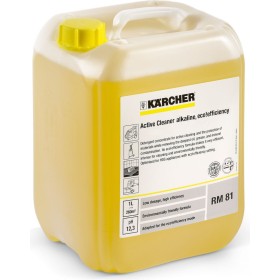 Karcher Środek Do Czyszcze.aktywne