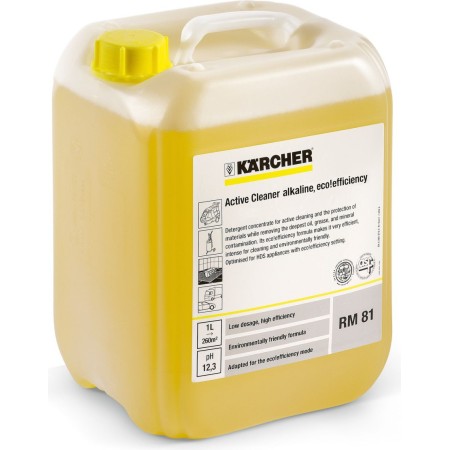 Karcher Środek Do Czyszcze.aktywne